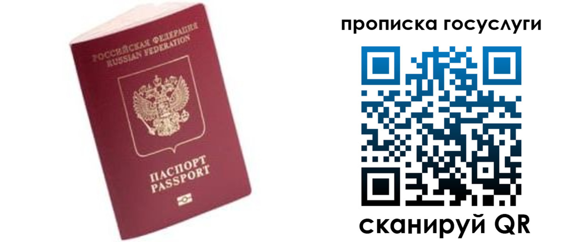 прописка в Михайловске
